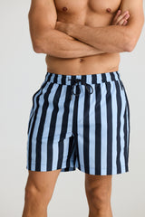 DARTMOUTH BOARD SHORT ALLEN STRIPE