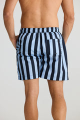 DARTMOUTH BOARD SHORT ALLEN STRIPE