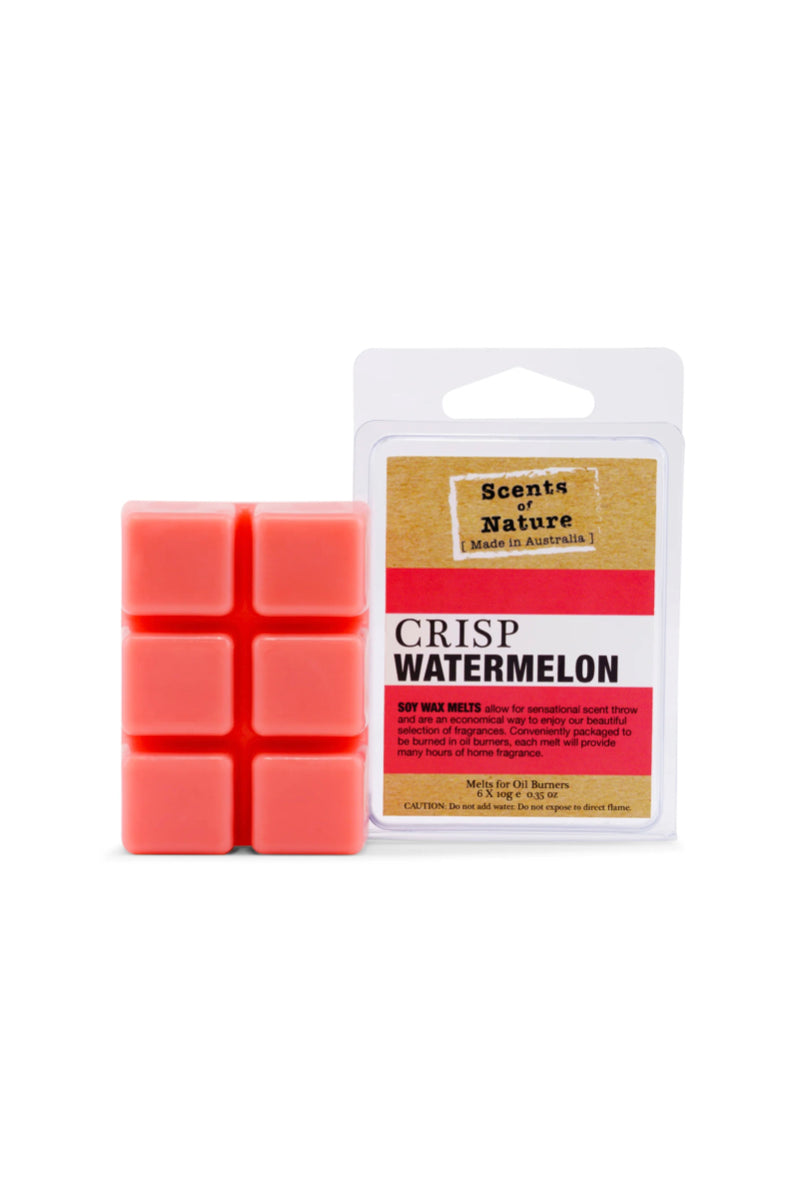 SOY WAX MELTS CRISP WATERMELON