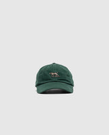 SIGNATURE CAP BOTTLE GREEN OXFORD